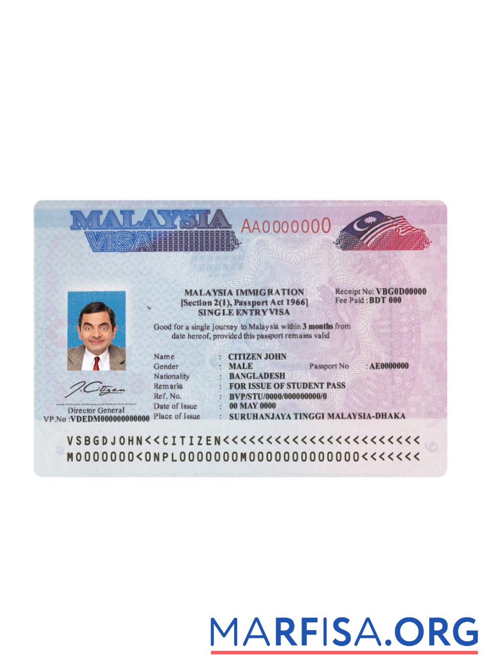 Blank Malaysia travel visa sample